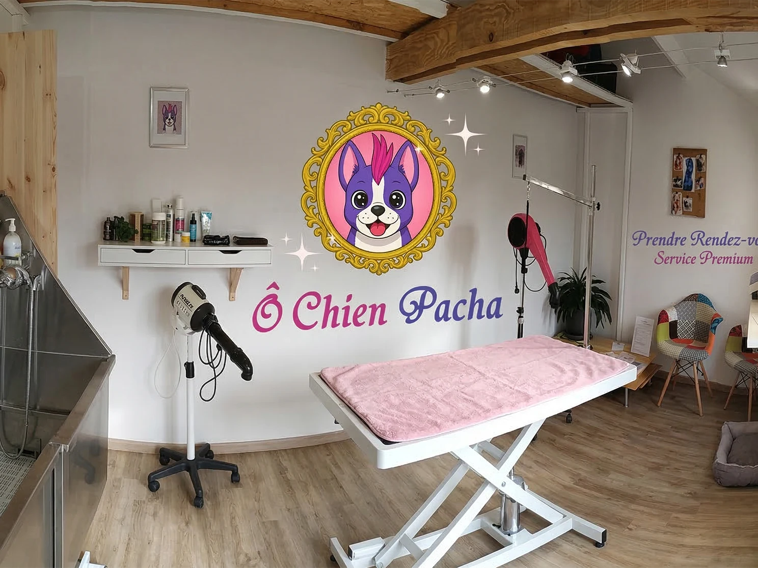 Ô chien pacha