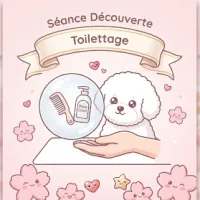 Autres services - Séance découverte - Ô chien pacha à Canapville