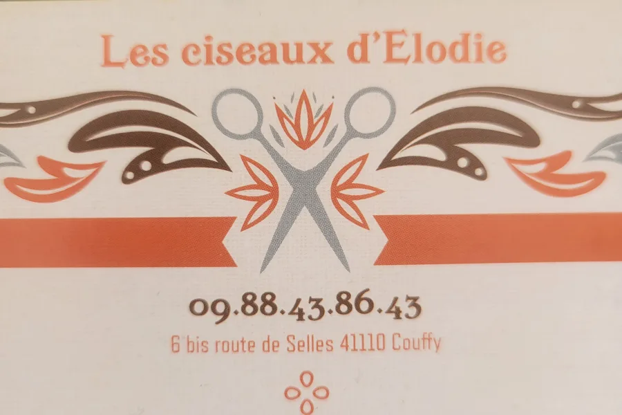 Photo 2 de Les ciseaux d'elodie