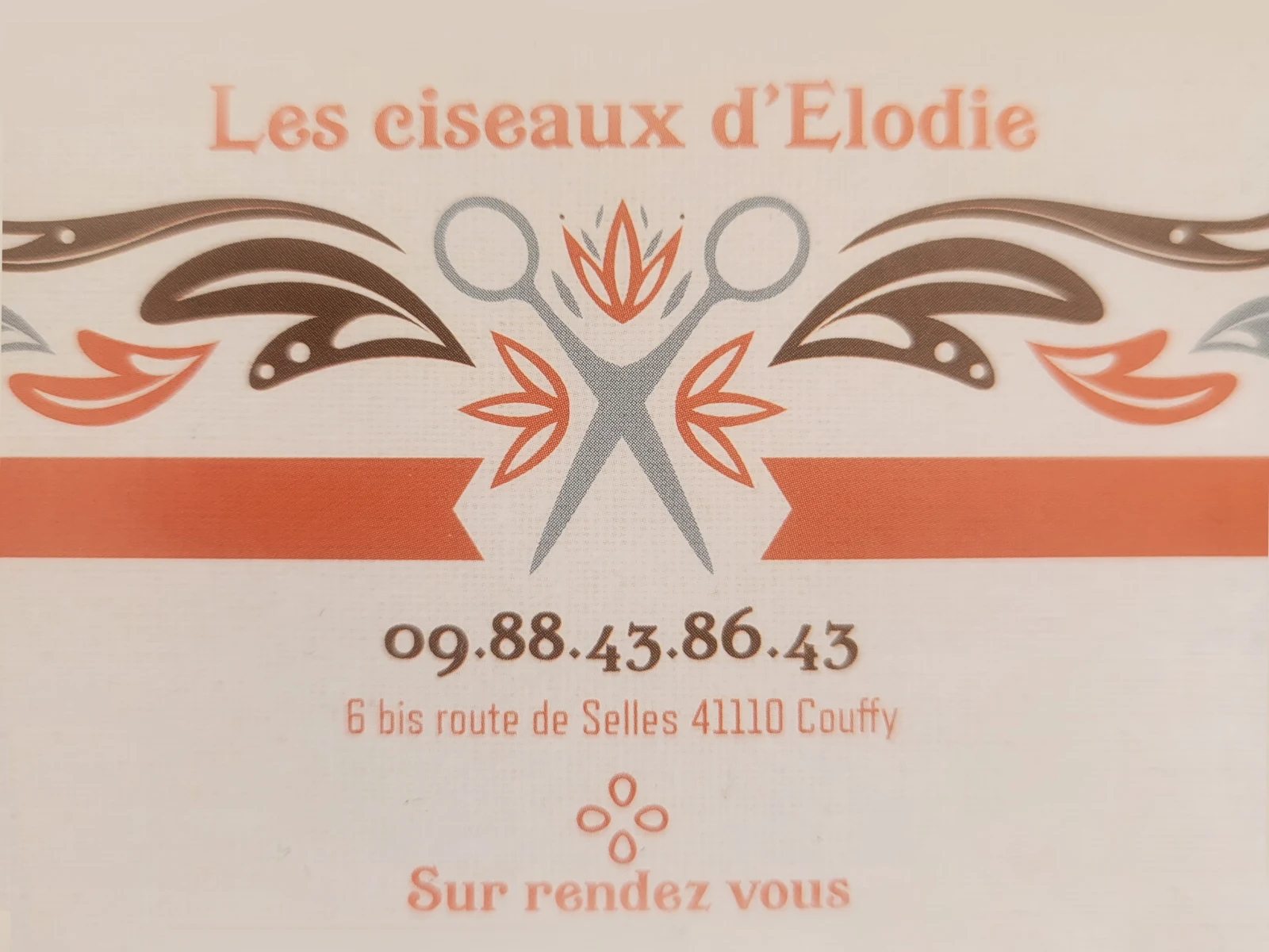 Les ciseaux d'elodie