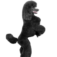 TONTE - TONTE NEW LOOK - Moyen / Grand chien  - Au palais du toilettage